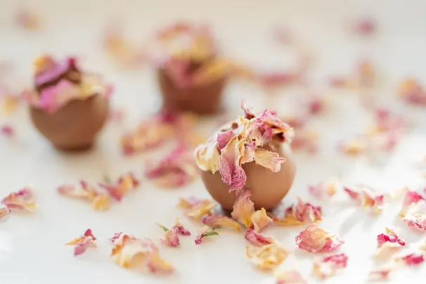 Casino Sun Palace Aip Android/iOS